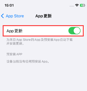 高石碑镇苹果15维修中心如何让iPhone15APP自动更新